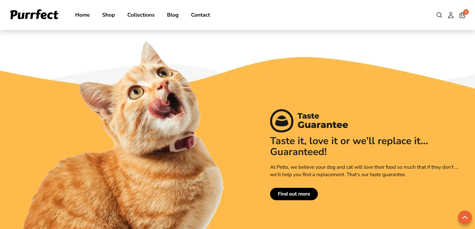 Project Preview Image